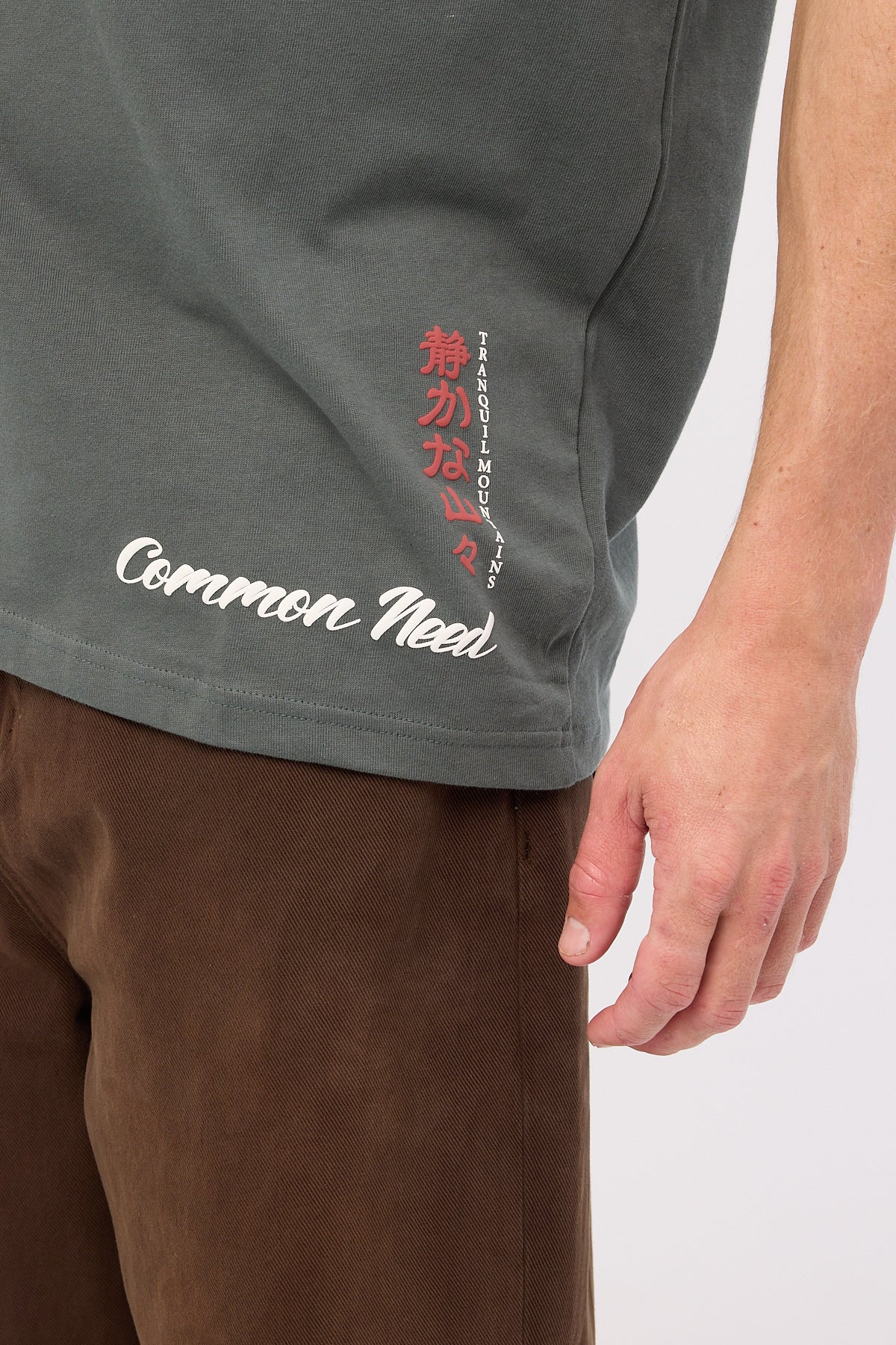 Common Need Mountains Heavyweight Boxy Tee Moss - Image 5